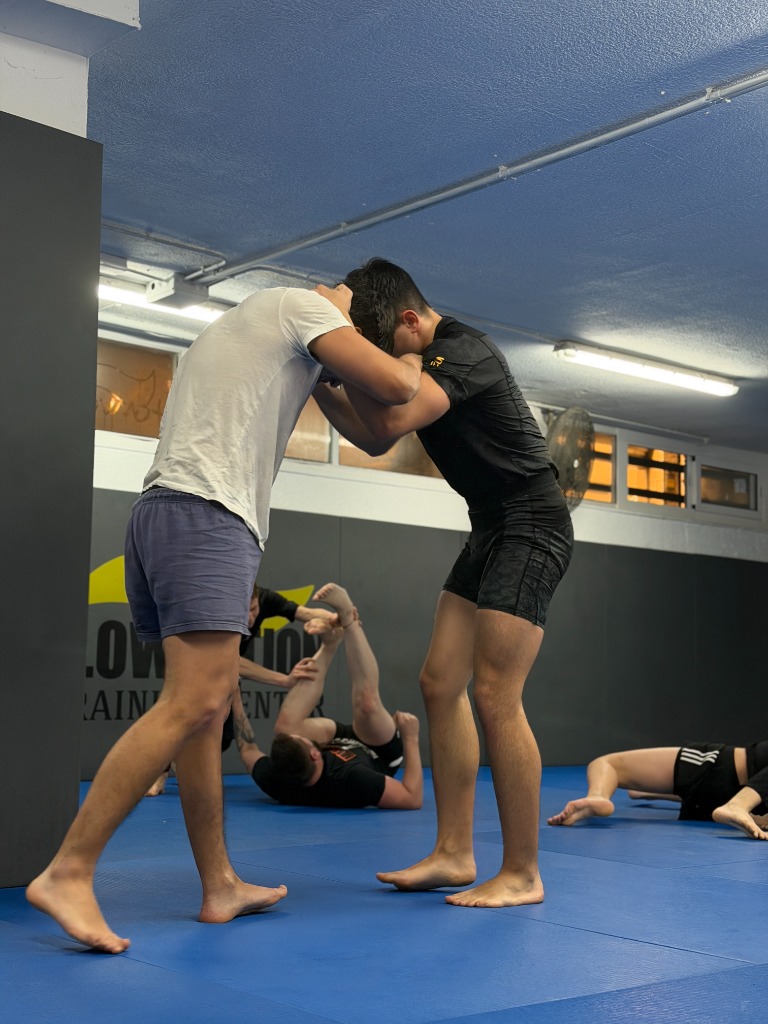 Grappling No-Gi - Imagen 6